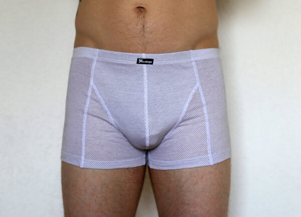 Shielding boxer shorts